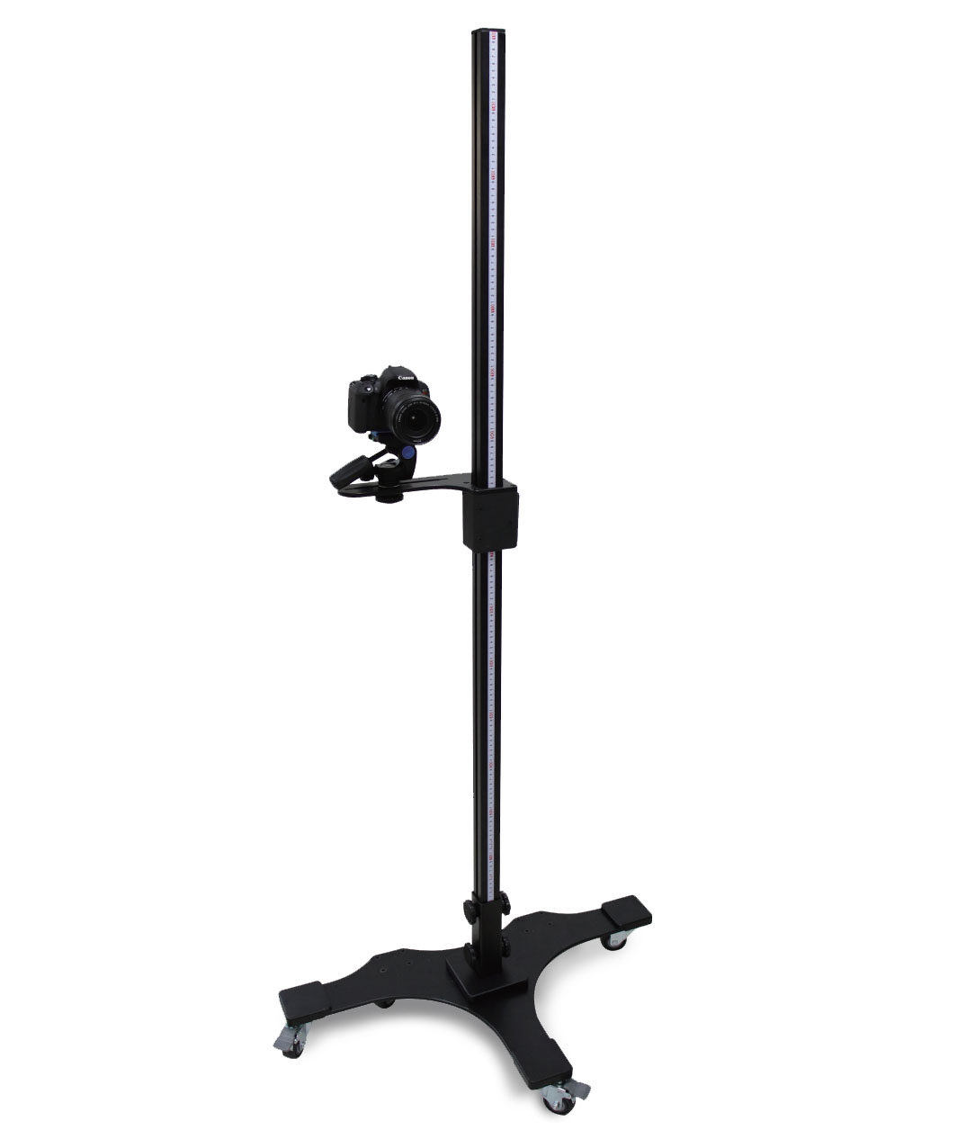capture-stand-ortery-1